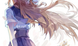 动漫是二次元吗,动漫世界的奇幻之旅